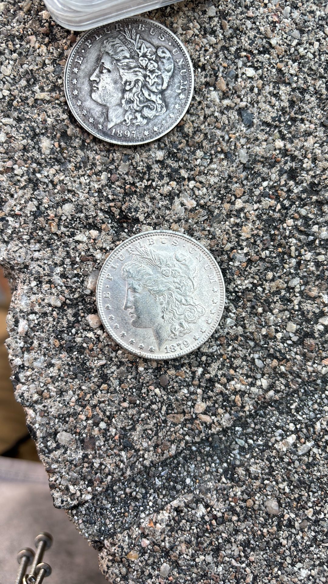 1879 Morgan Dollar Silver