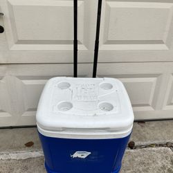 Igloo Outdoor Cooler 