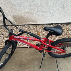 Boys 20” Igniter Bike