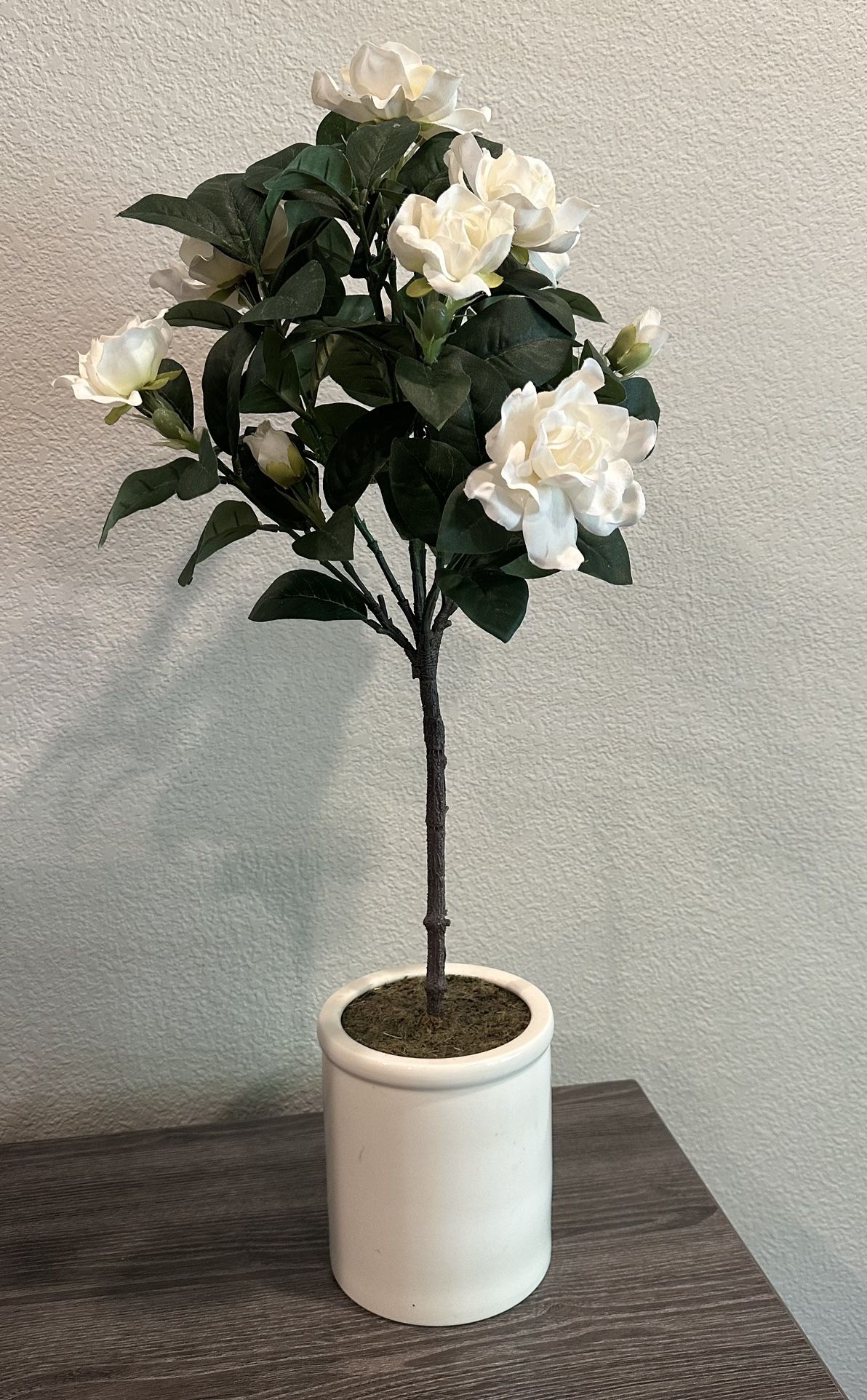 Gardenia Silk Plant In Ceramic Vase 29” Tall