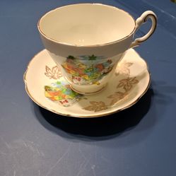 Royal Darwood Bone China England Tea Cup And Dish