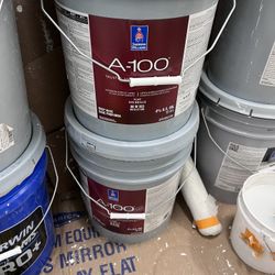 Exterior Paint Sherwin-Williams A 100