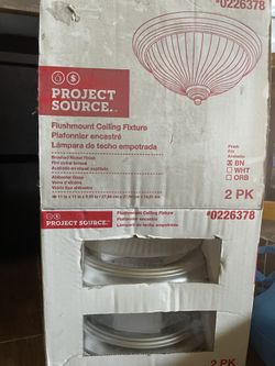Flushmount Ceiling Fixture (2 Pack)