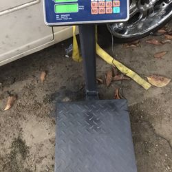 Scale