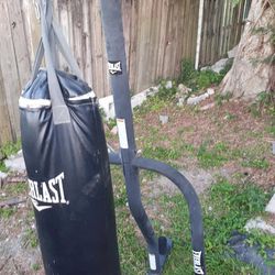 Everlast Punching Bag And Post