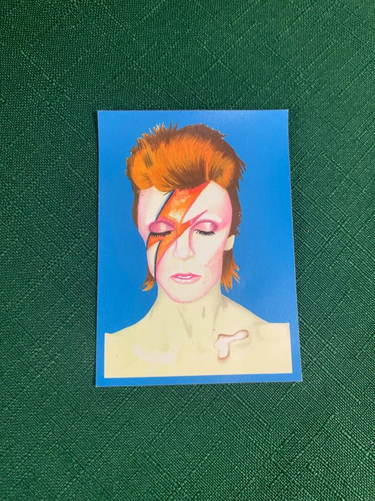 Commemorative David Bowie Magnet