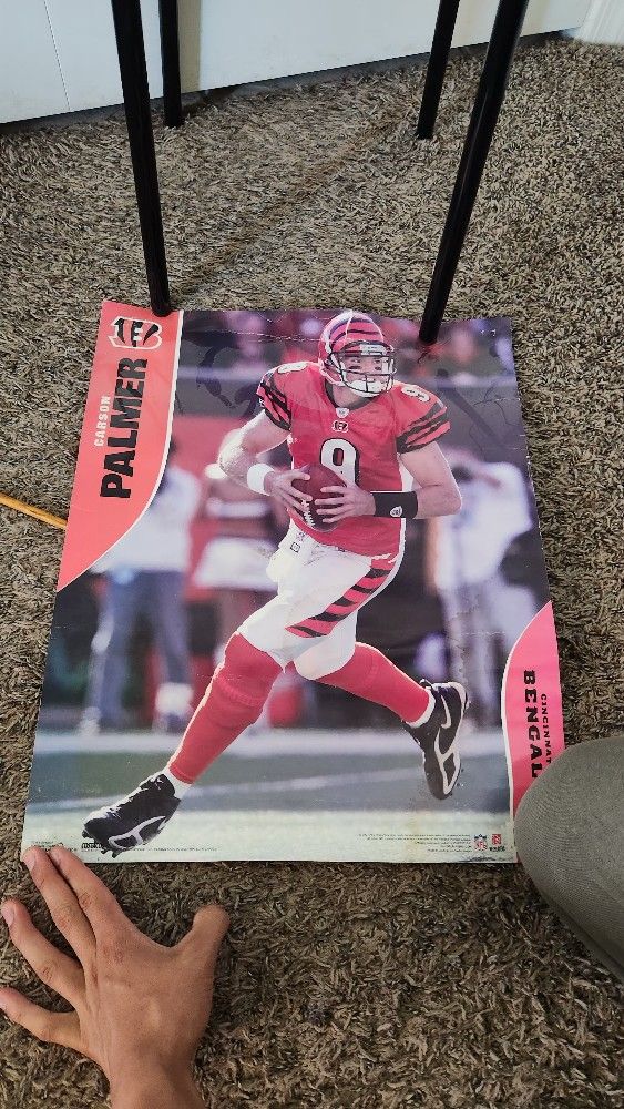 Carson Palmer Poster