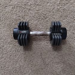 25lbs Dumbbell 