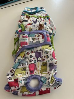 Dog Diapers