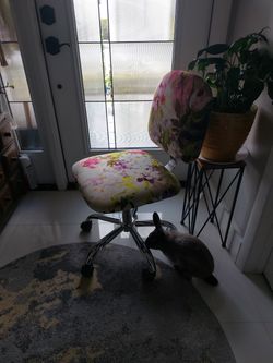 Rolling Chair
