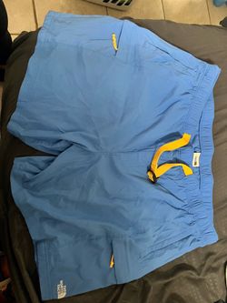 The north face men’s shorts