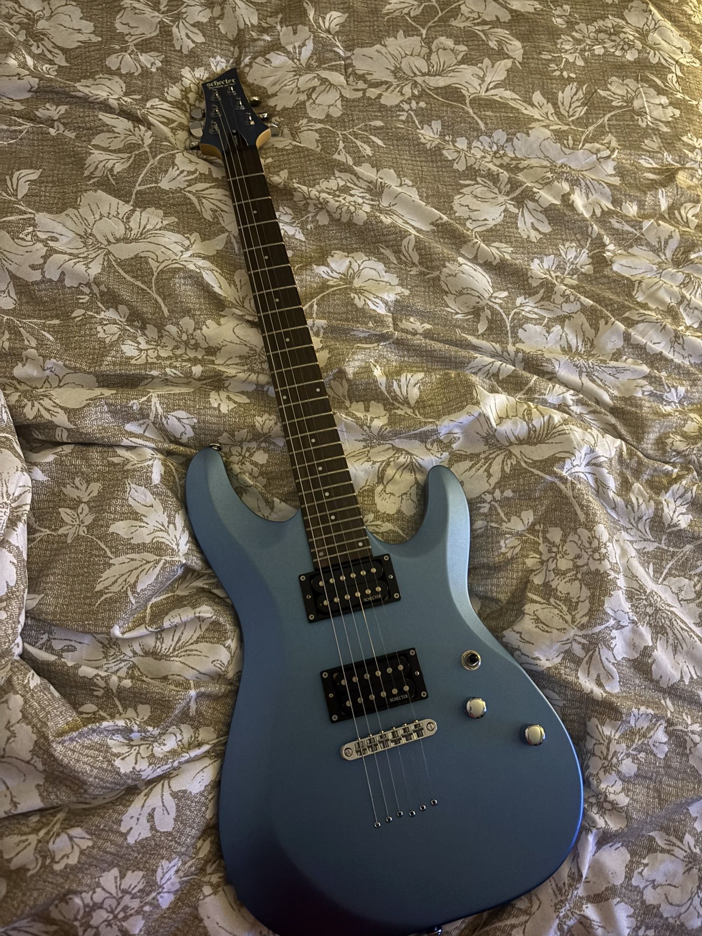 Schecter Electric Guitar