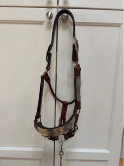 Show Halter w/ Silver and Gold