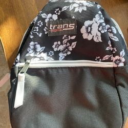 Jansport Small Backpack 