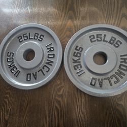 (2) 25 Lbs Olympic Metal Plates 