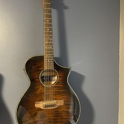 Ibanez 12-String Acoustic Guitar