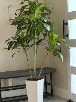 Planta artificial