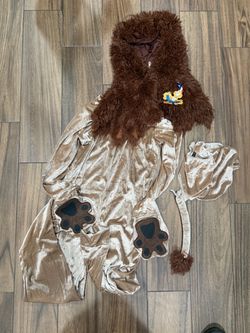 Wizard of Oz Lion Kids Costume