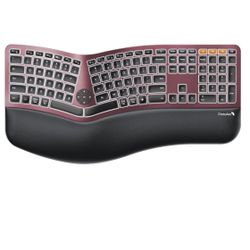 Protoarc EK01 Plus Wireless Keyboard