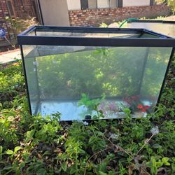 Aquarium  20 Gallon