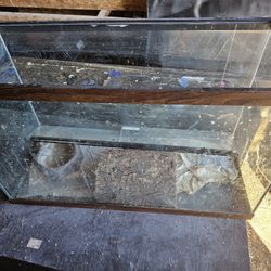 Aquariums