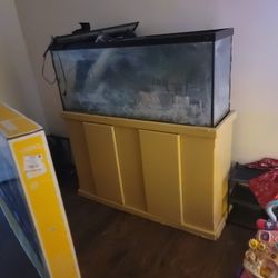 50 Gallon Fish Aquarium With Stand