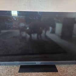 Sony Bravia TV
