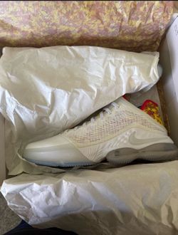 NIKE LEBRON XIX LOW Fruity Pebbles Size 11