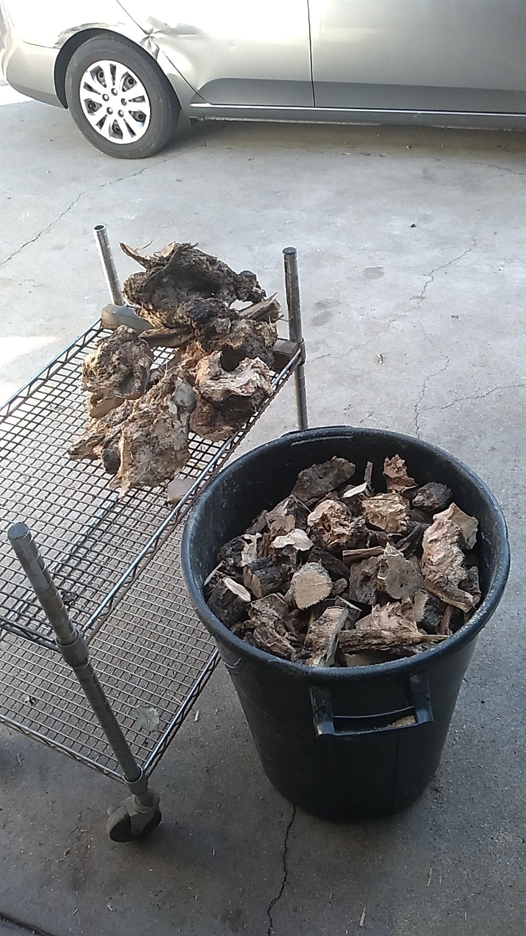 OLIVE TREE WOOD CHIPS