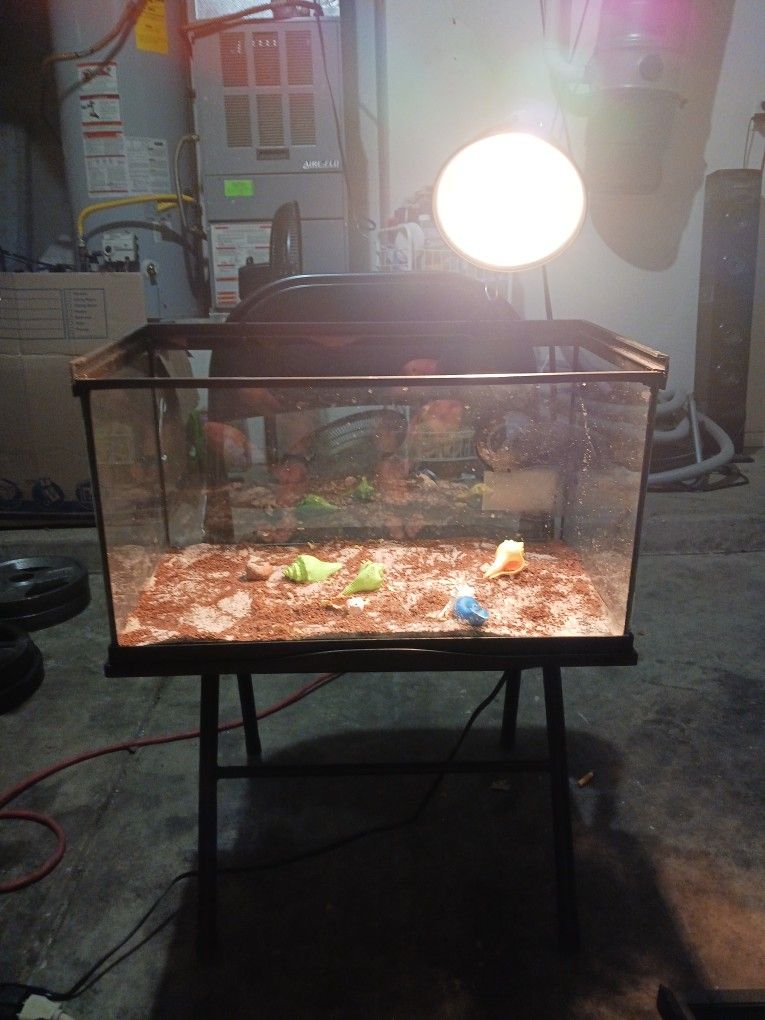 Ten Gallon Tank