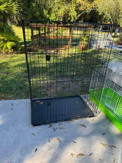 Bird Cage