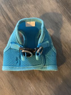 Small dog harness