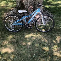 24” Giant Mountain Bike  (hardly Used)