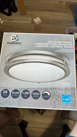 Energetic Lighting 14” LED Flush-mount Ceiling Light