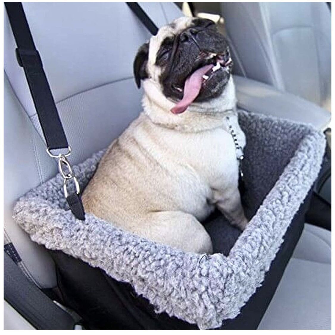 Dog Booster Car Seat for Pets Up to 15 Lbs