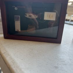 Picture Frame