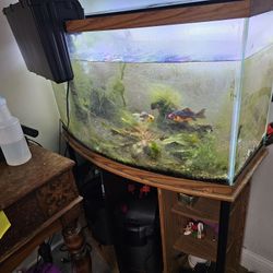46g Bowfront Tank And Stand
