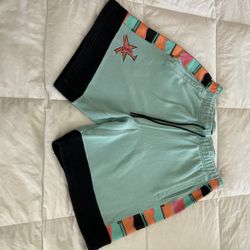 Air Jordan Greenish Blue Shorts