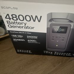 4800 Watt Eco Flow Delta 2 Max Generator 