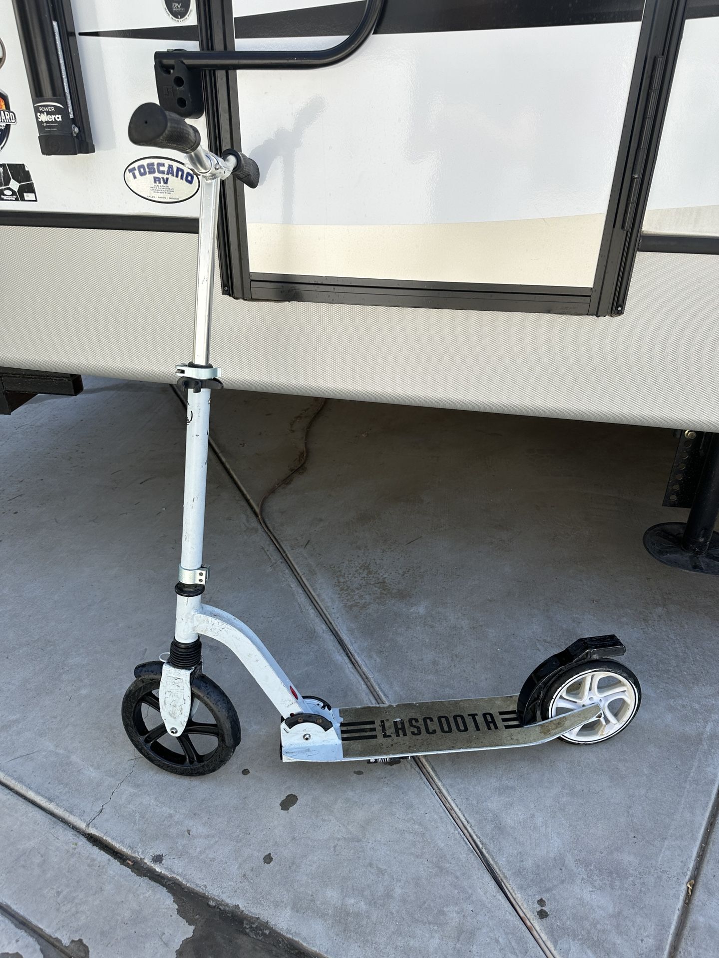 Adult Scooter 