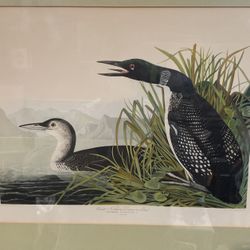 Framed Art 