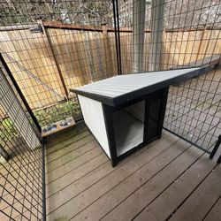 Large Modern Dog House, Black And White