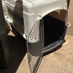 Dog House