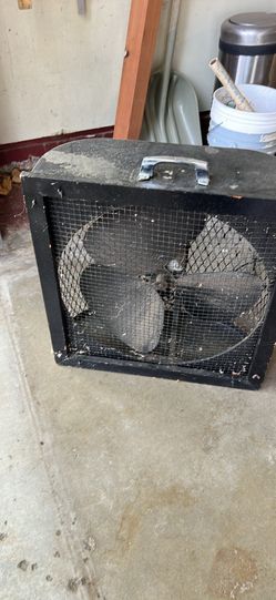 Fan