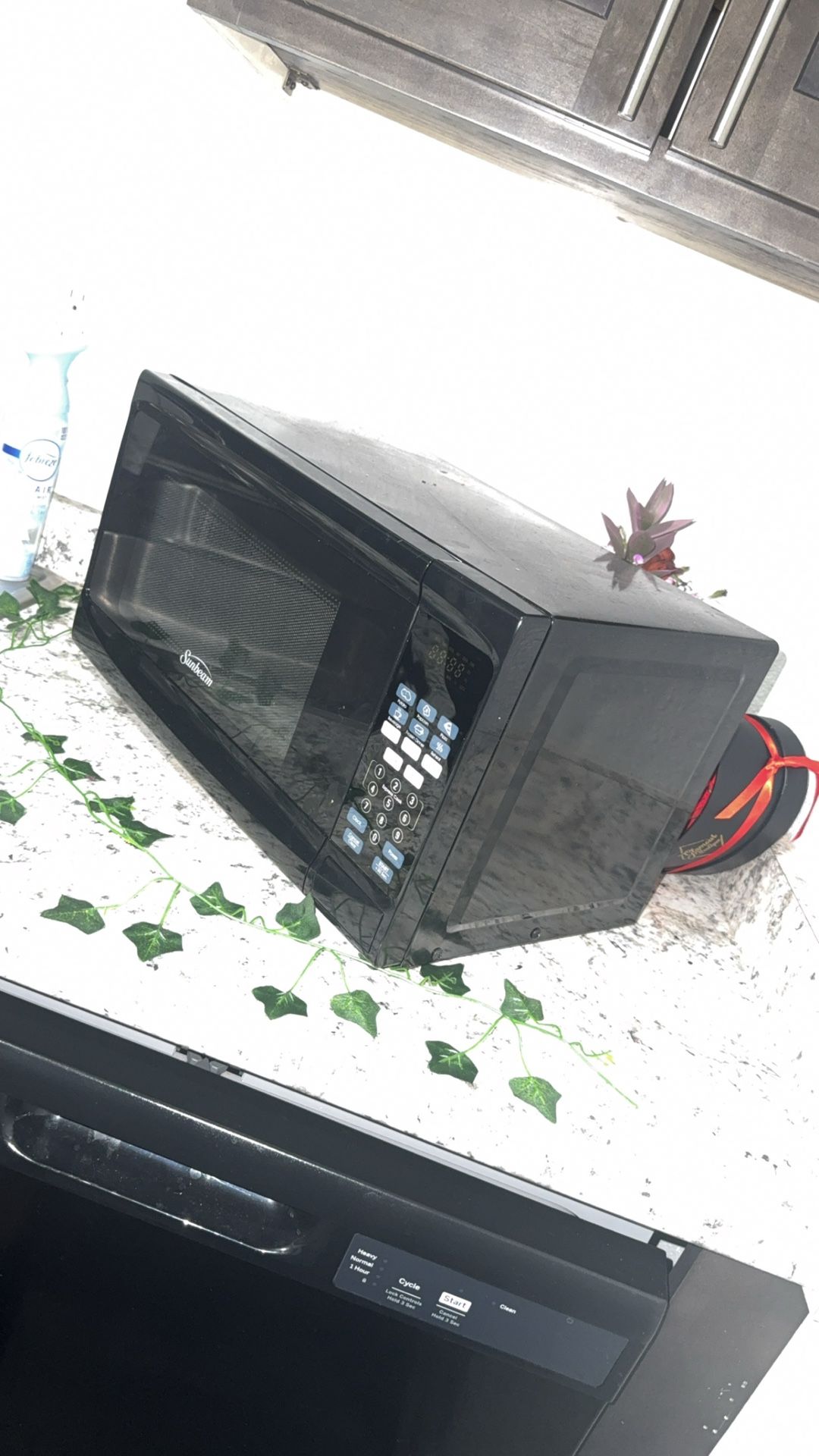 Microwave