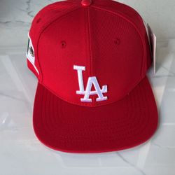 Los Angeles Dodgers SnapBack hat 🧢