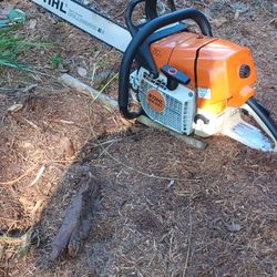 Triming Trees And Stump Grimding