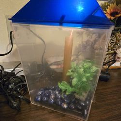 Pecera De Escritorio.