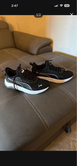 Pumas
