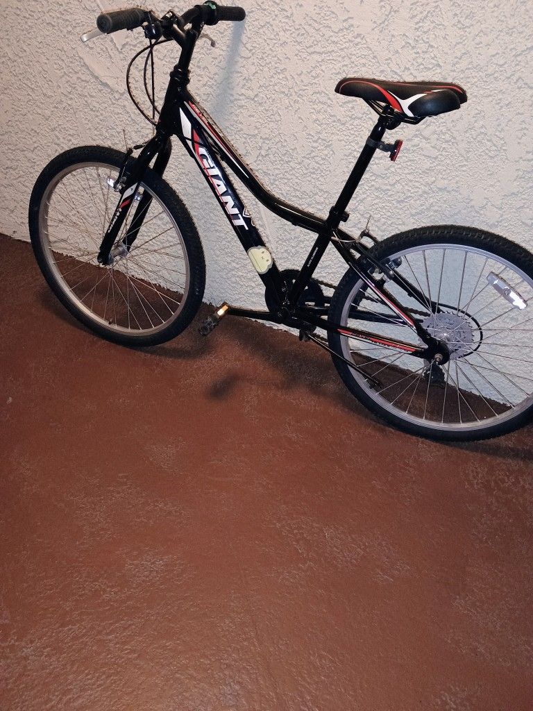 Giant Cruiser Bike For Sale
